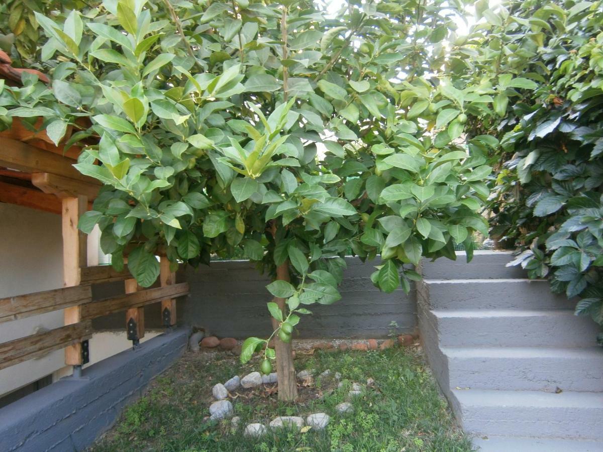 Green Garden Kavala Dış mekan fotoğraf